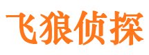 鸠江外遇出轨调查取证